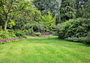 Optimiser l'expérience du jardin à Saint-Mard