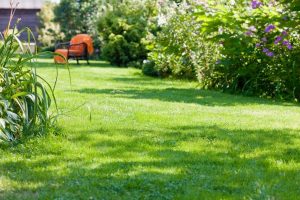 travaux jardin et paysage Saint-Mard